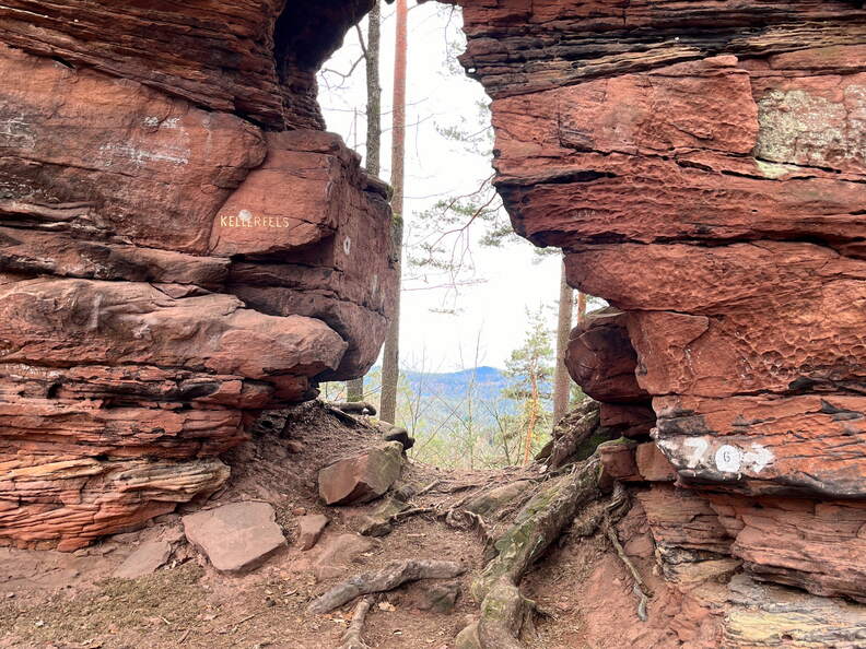 24-03-01 13-06-42 8870